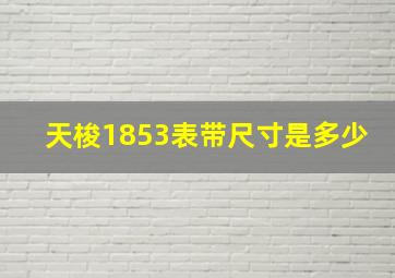 天梭1853表带尺寸是多少