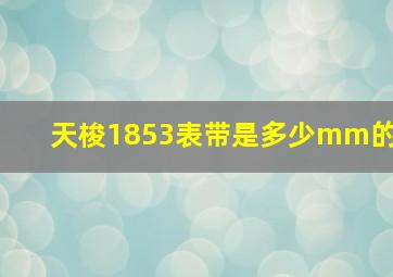 天梭1853表带是多少mm的