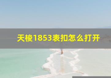 天梭1853表扣怎么打开