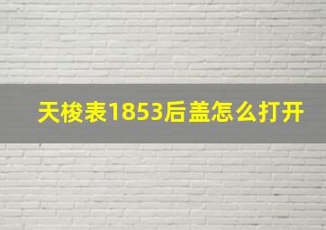 天梭表1853后盖怎么打开