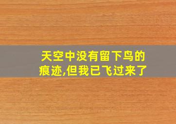 天空中没有留下鸟的痕迹,但我已飞过来了