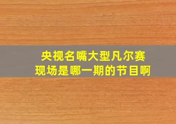 央视名嘴大型凡尔赛现场是哪一期的节目啊