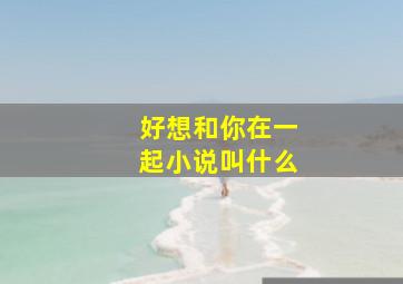 好想和你在一起小说叫什么