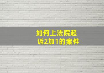 如何上法院起诉2加1的案件