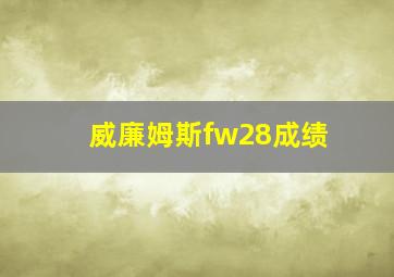 威廉姆斯fw28成绩