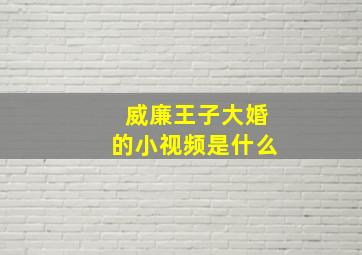 威廉王子大婚的小视频是什么