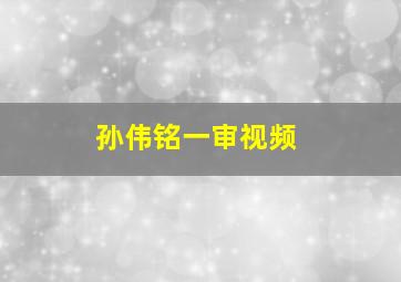 孙伟铭一审视频