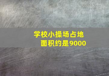 学校小操场占地面积约是9000