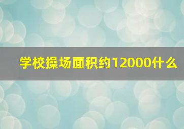 学校操场面积约12000什么