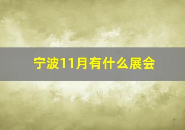 宁波11月有什么展会