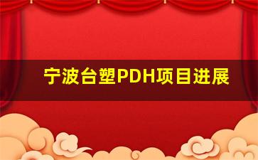 宁波台塑PDH项目进展