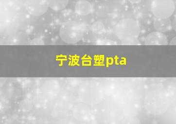 宁波台塑pta