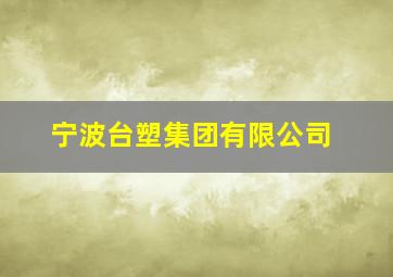 宁波台塑集团有限公司