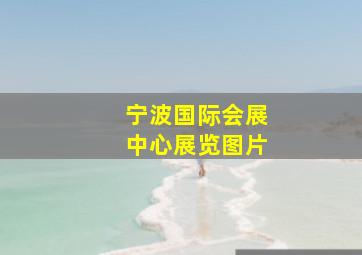 宁波国际会展中心展览图片