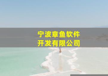 宁波章鱼软件开发有限公司