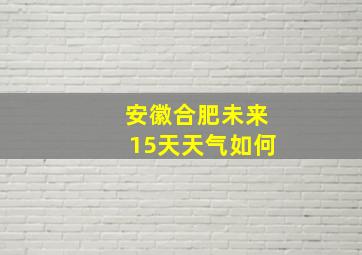 安徽合肥未来15天天气如何