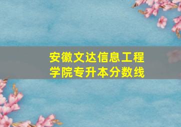 安徽文达信息工程学院专升本分数线