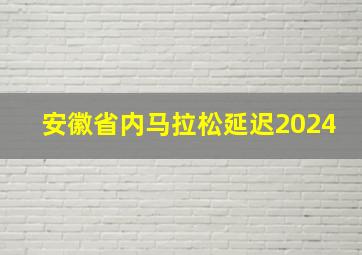 安徽省内马拉松延迟2024