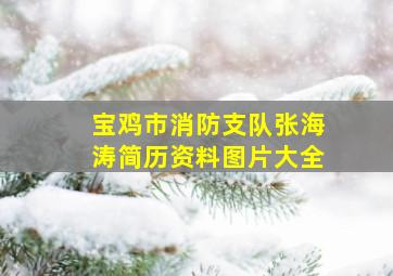 宝鸡市消防支队张海涛简历资料图片大全