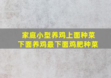 家庭小型养鸡上面种菜下面养鸡最下面鸡肥种菜