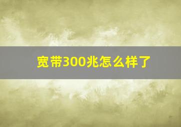 宽带300兆怎么样了