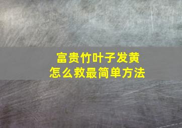 富贵竹叶子发黄怎么救最简单方法