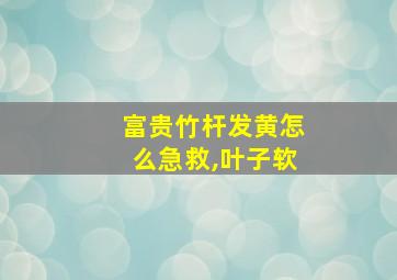 富贵竹杆发黄怎么急救,叶子软