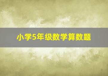 小学5年级数学算数题