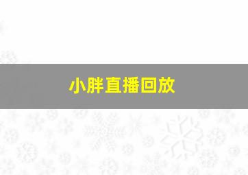 小胖直播回放