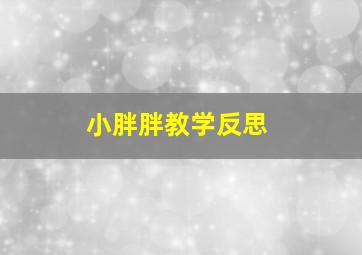 小胖胖教学反思