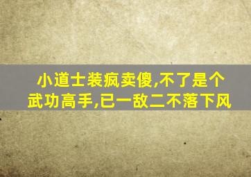 小道士装疯卖傻,不了是个武功高手,已一敌二不落下风