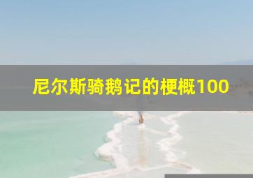 尼尔斯骑鹅记的梗概100