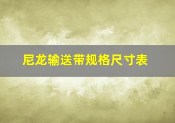 尼龙输送带规格尺寸表