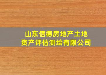 山东信德房地产土地资产评估测绘有限公司