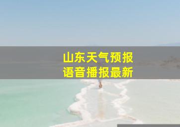 山东天气预报语音播报最新