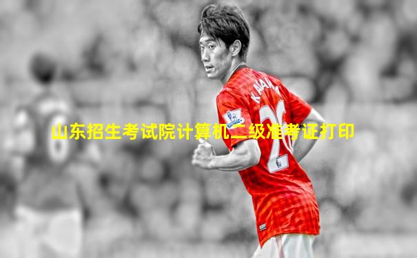 山东招生考试院计算机二级准考证打印