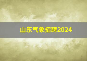 山东气象招聘2024