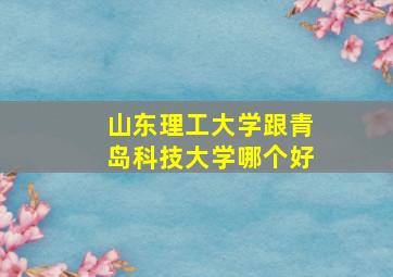 山东理工大学跟青岛科技大学哪个好