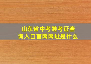 山东省中考准考证查询入口官网网址是什么