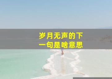 岁月无声的下一句是啥意思