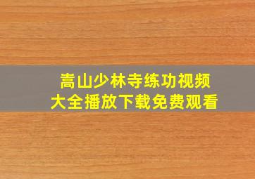 嵩山少林寺练功视频大全播放下载免费观看