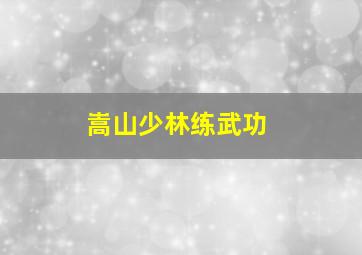 嵩山少林练武功