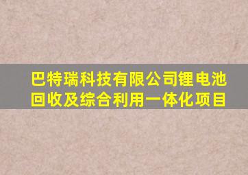 巴特瑞科技有限公司锂电池回收及综合利用一体化项目