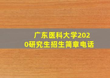 广东医科大学2020研究生招生简章电话