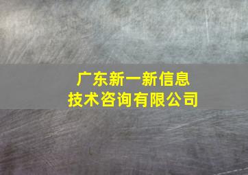 广东新一新信息技术咨询有限公司