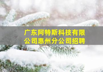 广东阿特斯科技有限公司惠州分公司招聘