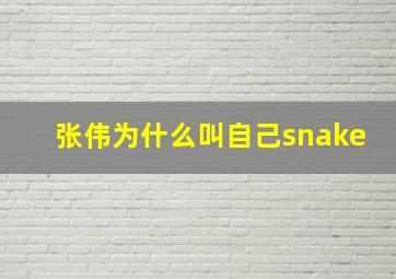 张伟为什么叫自己snake