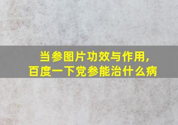 当参图片功效与作用,百度一下党参能治什么病