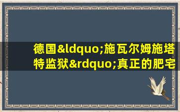 德国“施瓦尔姆施塔特监狱”真正的肥宅生活监狱