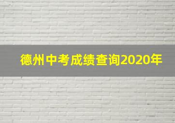 德州中考成绩查询2020年